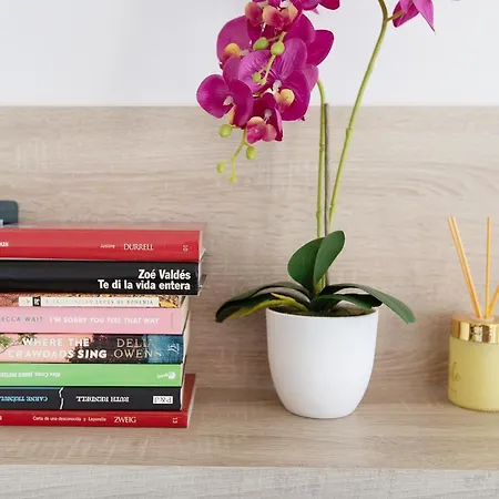 Primera Linea Vistas Panoramicas Apartment